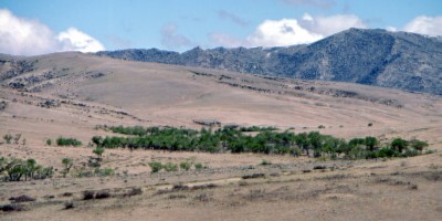 Natour Stichting - Mongolië landschap Huntain Nuruu