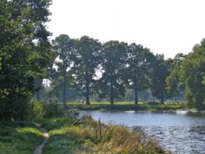 Natour Stichting - Initiatieven Het Dorp - De Dommel bij Gemonde (© Peter Rens)