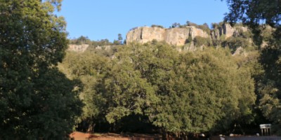 Natour Stichting - Landschap Ifrane Nationaal Park - (© Peter Rens)