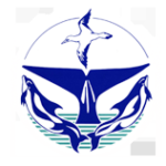 Logo MICS - Mingan Island Cetacean Study