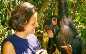 Natour Stichting - vrijwilliger met jonge chimpansee in opvangcentrum in Sierra Leone (© Roel Cosijn)