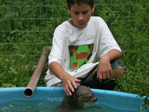 ecovolunteer@school - een van de initiatieven van de Natour Stichting - otter