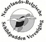 Logo Nederlands-Belgische Schildpadden Vereniging