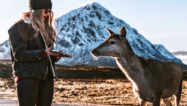 Ontmoeting met wilde dieren - Foto: Scott Jackson op Unsplash