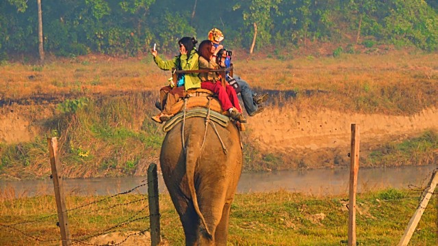 Op safari in Chitwan National Park - Foto Devaiah Mallangada-Lalaiah - Unsplash