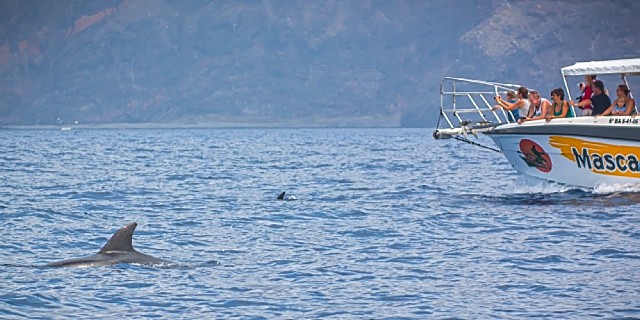 Tenerife - dolfijnen en toerisme - Foto Jan Kraus op Flickr - CC BY 2.0