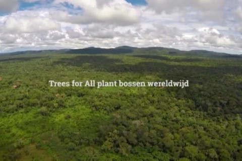 Trees for All - video