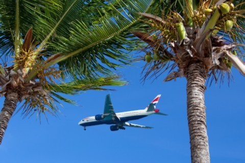 Trees for Travel - Foto Petr Kratochvil op publicdomainpictures net