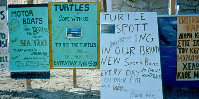 Turtles with golden eggs - Op het strand aan de Baai van Laganas: het aanbod van boottochtjes om zeeschildpadden te zien.