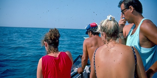 Turtles with golden eggs - Boottochtjes in de Baai van Laganas bij Zakynthos om zeeschildpadden te zien